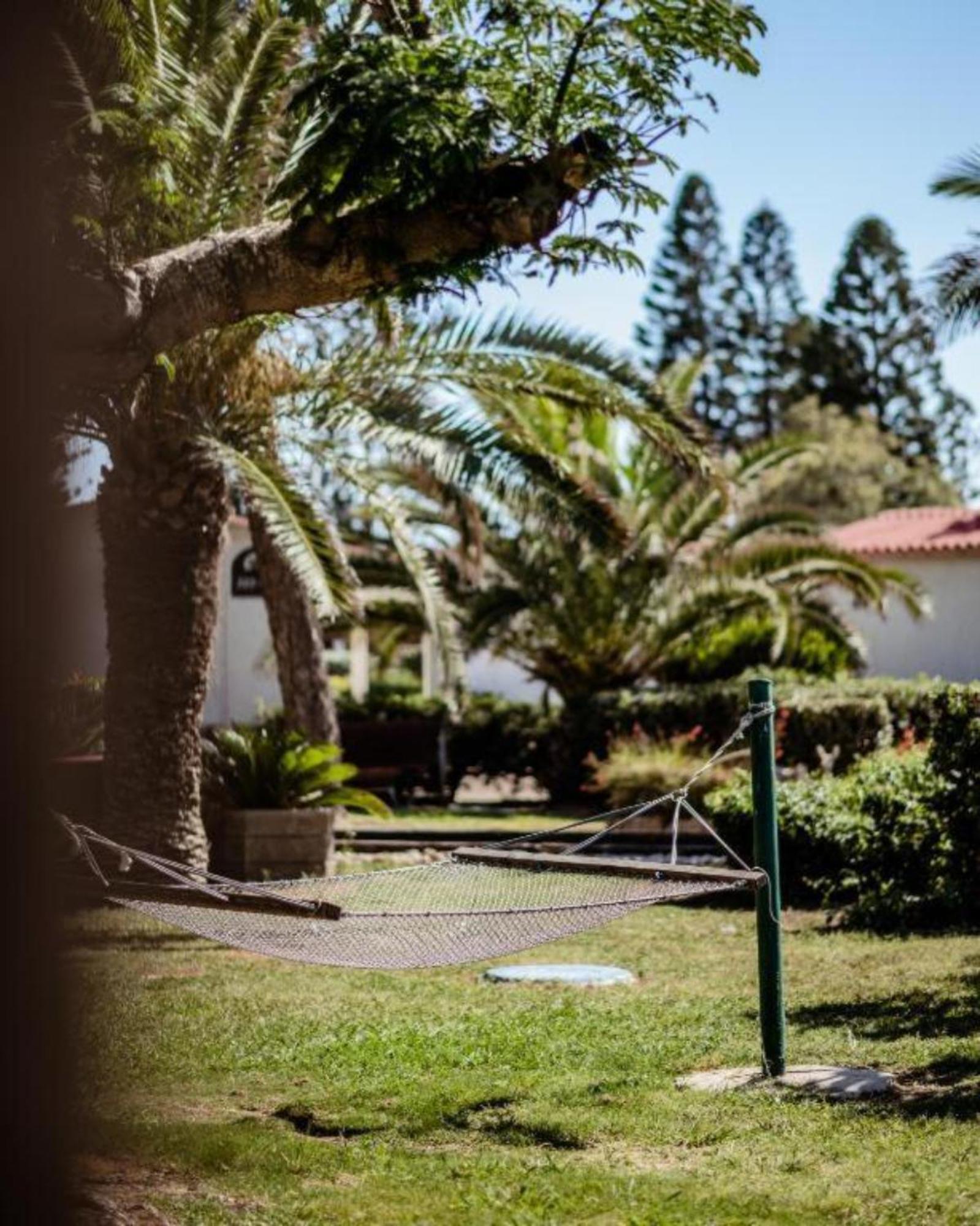 Nachsholim Kibbutz Country Lodging Нахшолім Екстер'єр фото